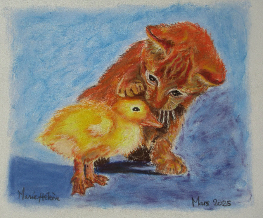 Caneton et chaton